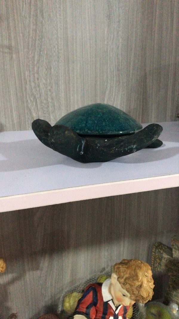 Tortoise art work